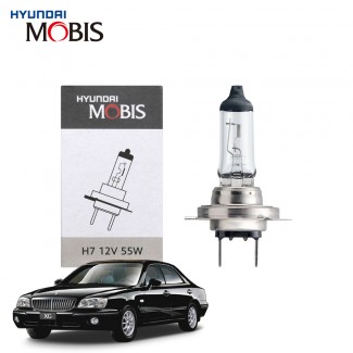 현대모비스 H7 현대 그랜져XG 할로겐 순정형 전조등 자동차 전구 12V 55W