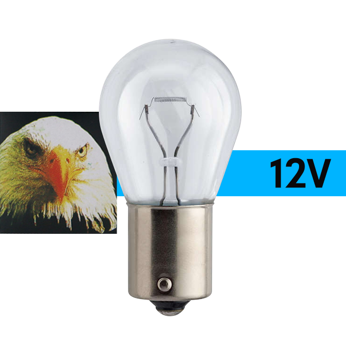 남영전구 투명 더블 싱글 전구 12V 27W 10개 세트 브레이크전구등 후미등 후진등